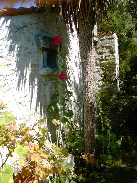 Les Jardins Saint Leonard Ξενοδοχείο Thairé Εξωτερικό φωτογραφία